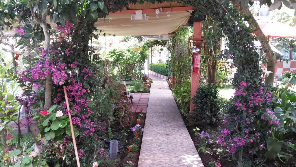 Hostal El Parque Tababela Exteriér fotografie