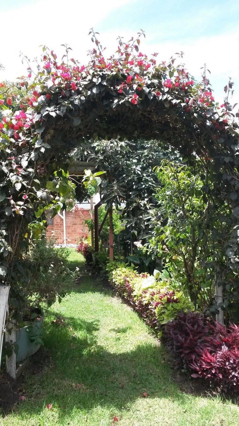 Hostal El Parque Tababela Exteriér fotografie